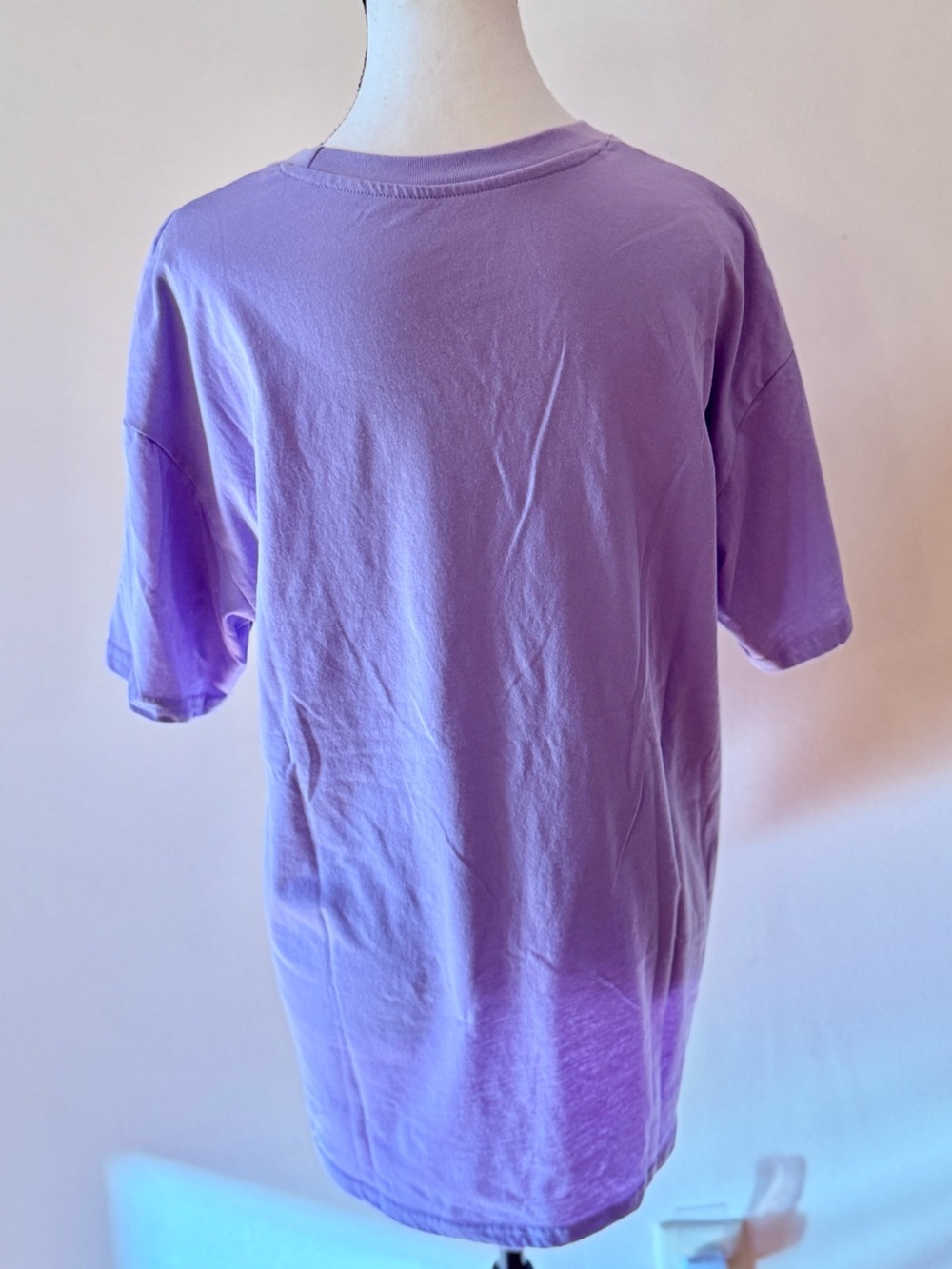 Disney Lavender Phineas and Ferb Character Panel Tee size Large - Picture 5 of 6